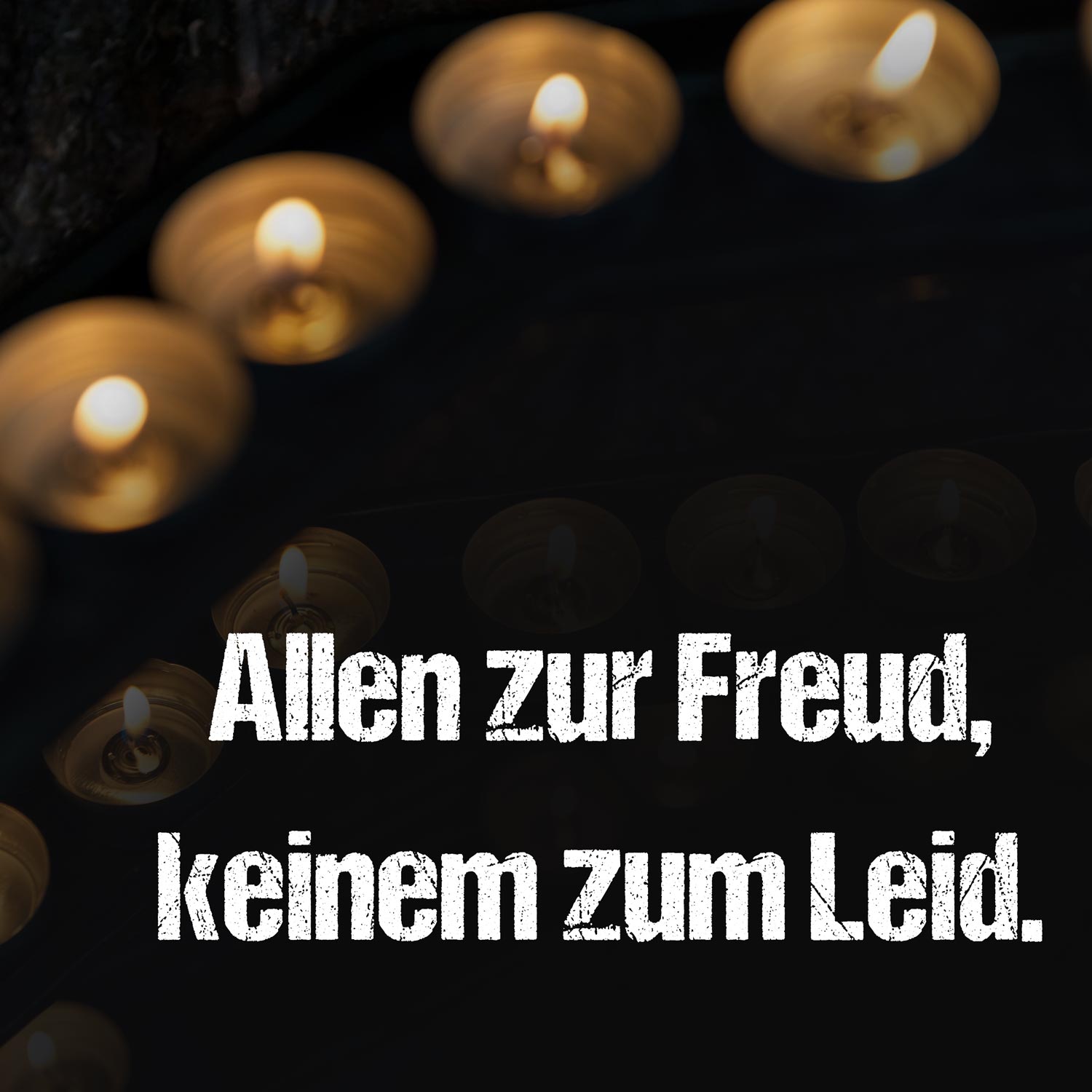 Allen zur Freud, keinem zum Leid.